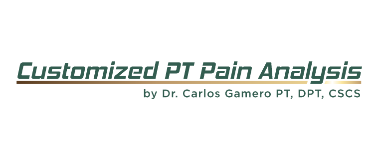 Logo Customized PT Pain Analysis